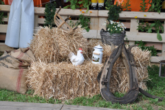 NOSJF 2019 in Winterthur-Wülflingen